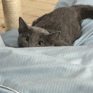 の写真