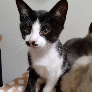 ご心配おかけしましたがなんとか家族になれそうです！