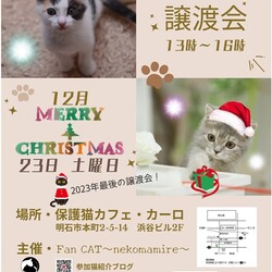 【明石☆12月のラスト譲渡会12/23(土曜日)開催】第139回