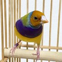 【ご家族が見つかりました。ありがとうございました】