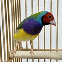 【ご家族が見つかりました。ありがとうございました】