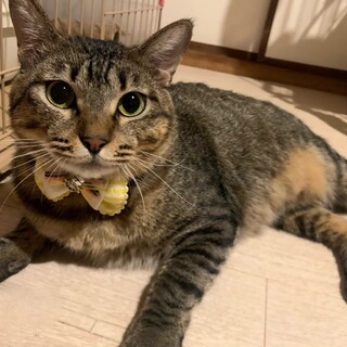 世界一優しい♡すいもん♡