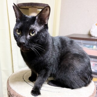 元気いっぱいなイケメン❤ポポ