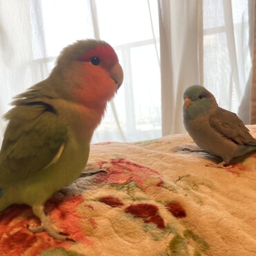 の写真