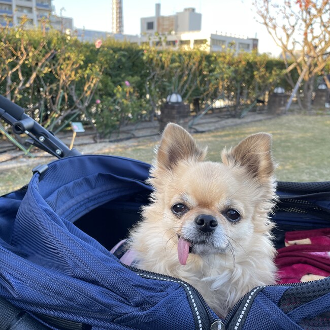みーこ0331のカバー写真