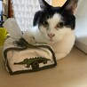 タータンチェック サムネイル5