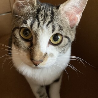 めっちゃ元気！小雪です。