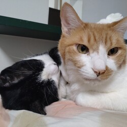 いつも一緒のふたり