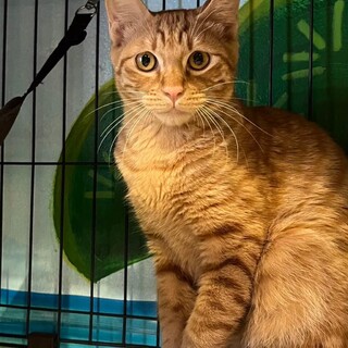 とってもやさしいあめ君。遊びは本気です。