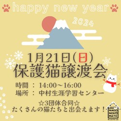 名古屋市 保護猫譲渡会