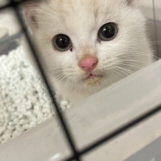 生後2〜3ヶ月男の子