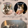 ぎじしろメスさん3ヶ月 サムネイル4