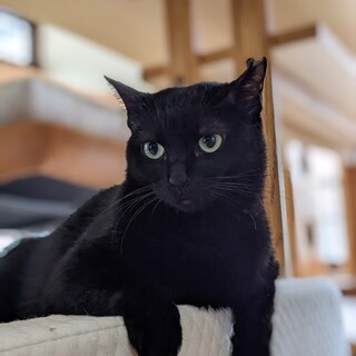 大きなお目々がキュート♡もっちゃん