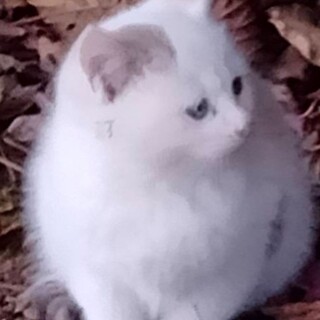 かわいいマリンちゃん❣️
