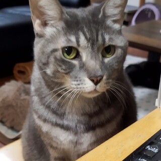 ヤキモチ焼きの女の子、ムースちゃん