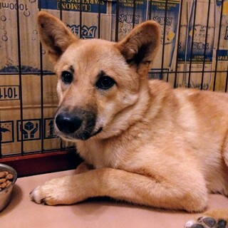 岡山市保健所☆お声かかり中です！感謝！