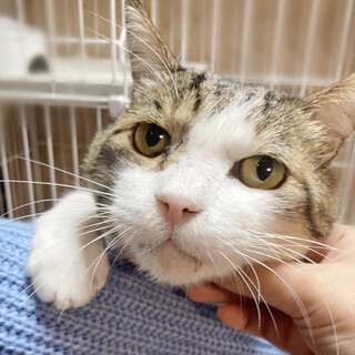 超なれなれ！犬みたいに人懐っこい『モニくん』５歳