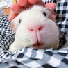 だっことなでなでが大好き。