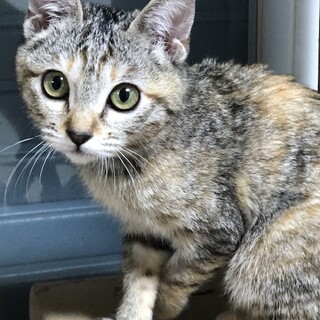 かわいい女の子3ヶ月