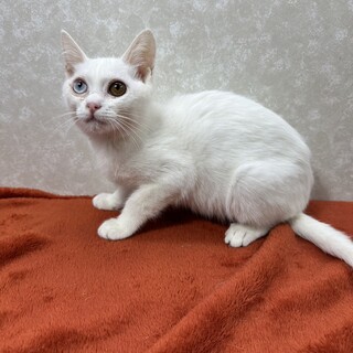 姉弟いつでも元気一杯パワー全開❗️お茶目な❤️ユキ