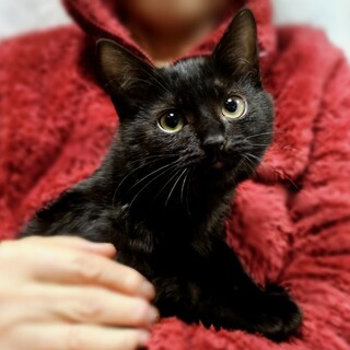 ゴロゴロかまってちゃん★まぐろ君