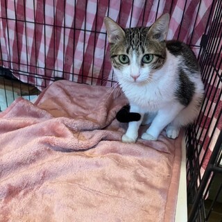 遊びの達人！可愛らしいお顔のらくがんくん