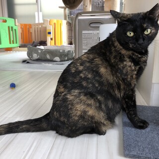 素敵なご縁に恵まれました！マダム・みいこ