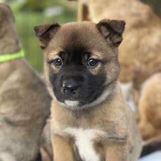 【里親様決定】イク♂の幸せが見つかりました♡