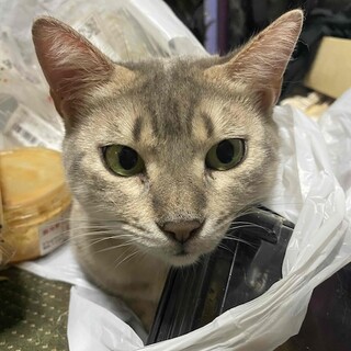 遊びの天才！元気でかわいいしずくちゃん♪