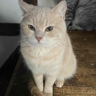 ちっちゃくてかわいい♪元気なきゃら君