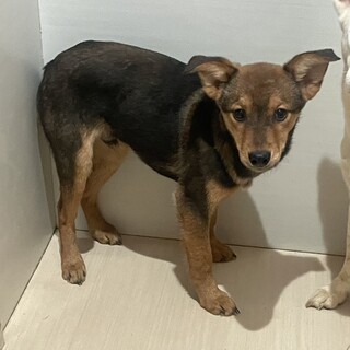 素敵なご縁がありました美男子くん