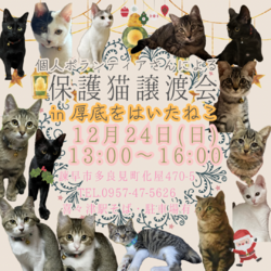 保護猫譲渡会 in厚底をはいたねこ