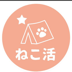 星空ねこお見合い会