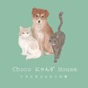 Chocoニャン
