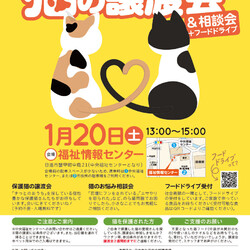日進市にて譲渡会＆相談会開催
