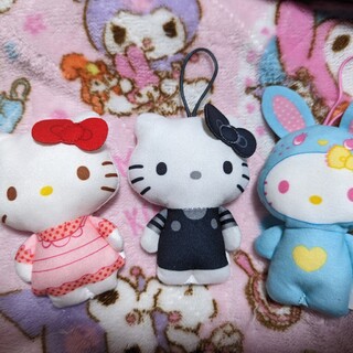 茶トラの男の子