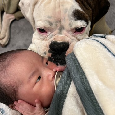 赤子に興味深々