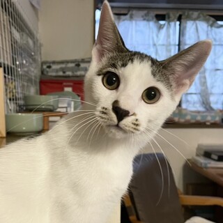 元気いっぱい★あらし君