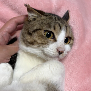 繁華街に捨てられて頑張って生きてきました