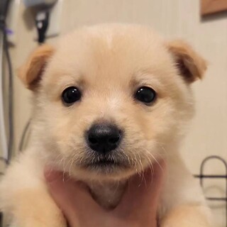 まだまだ赤ちゃん男の子②
