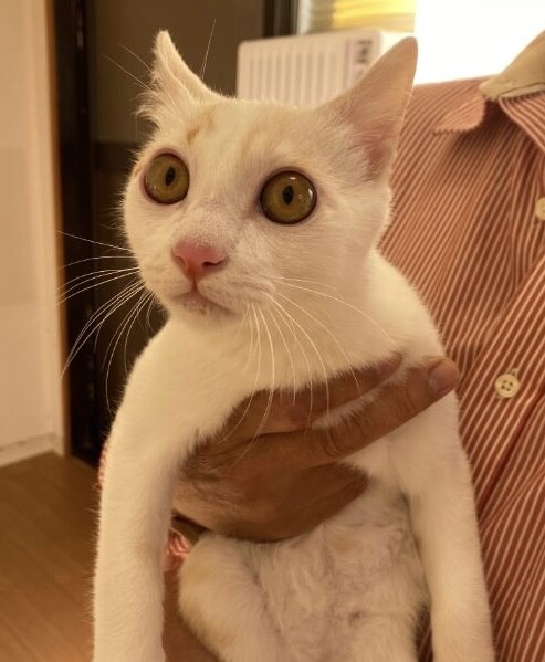 まん丸お目目のイケメン☆タイ君 サムネイル3