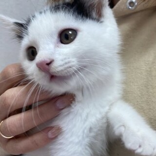 愛らしいお顔の男の子☆レオンくん