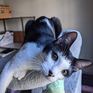 天真爛漫な男の子　ナル♂