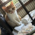 とっても可愛らしいお姿にキュンキュン