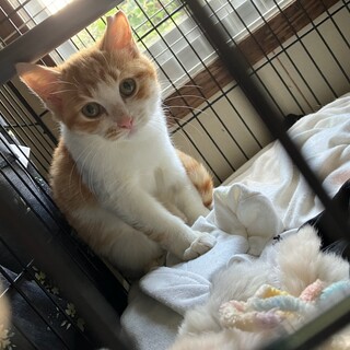 とっても可愛らしいお姿にキュンキュン