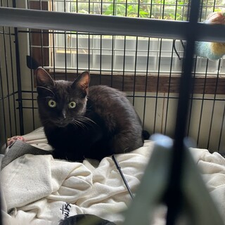 まん丸なお目目でまっすぐ見つめて可愛すぎる