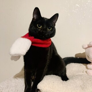 人が大だぁ～い好き♡あいちゃん