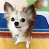 ずっと一緒にいるよ！守ってあげたい可愛い女の子♡ サムネイル3