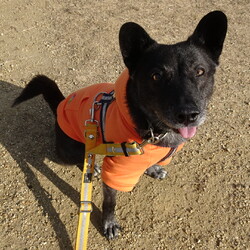 「クリスマスなので・その２」サムネイル3