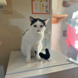 センター分けが魅力的！「なんこつ」ちゃん